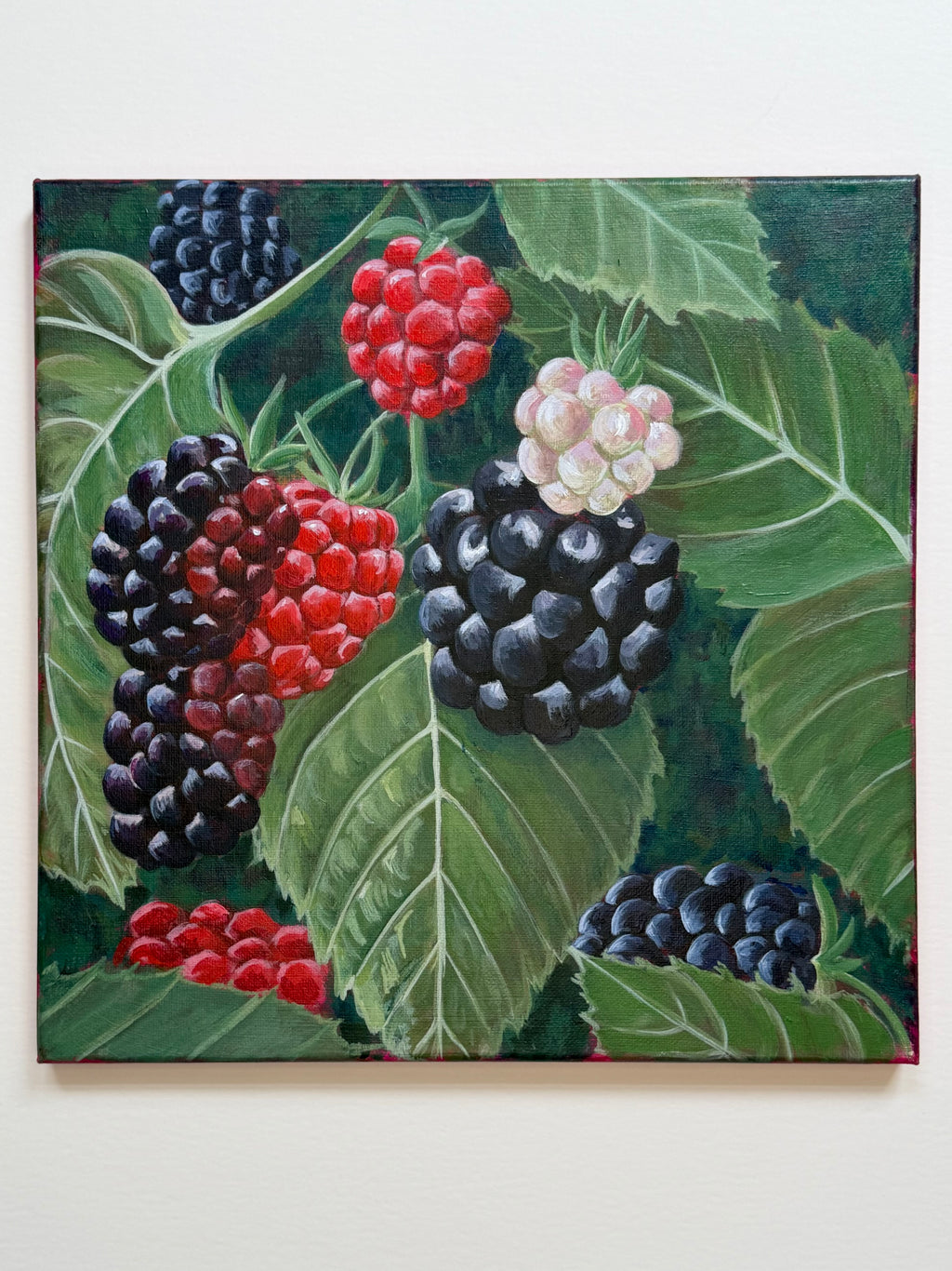 Original acrylic botanical painting of wild blackberries in various stages of ripening surrounded by green leaves.