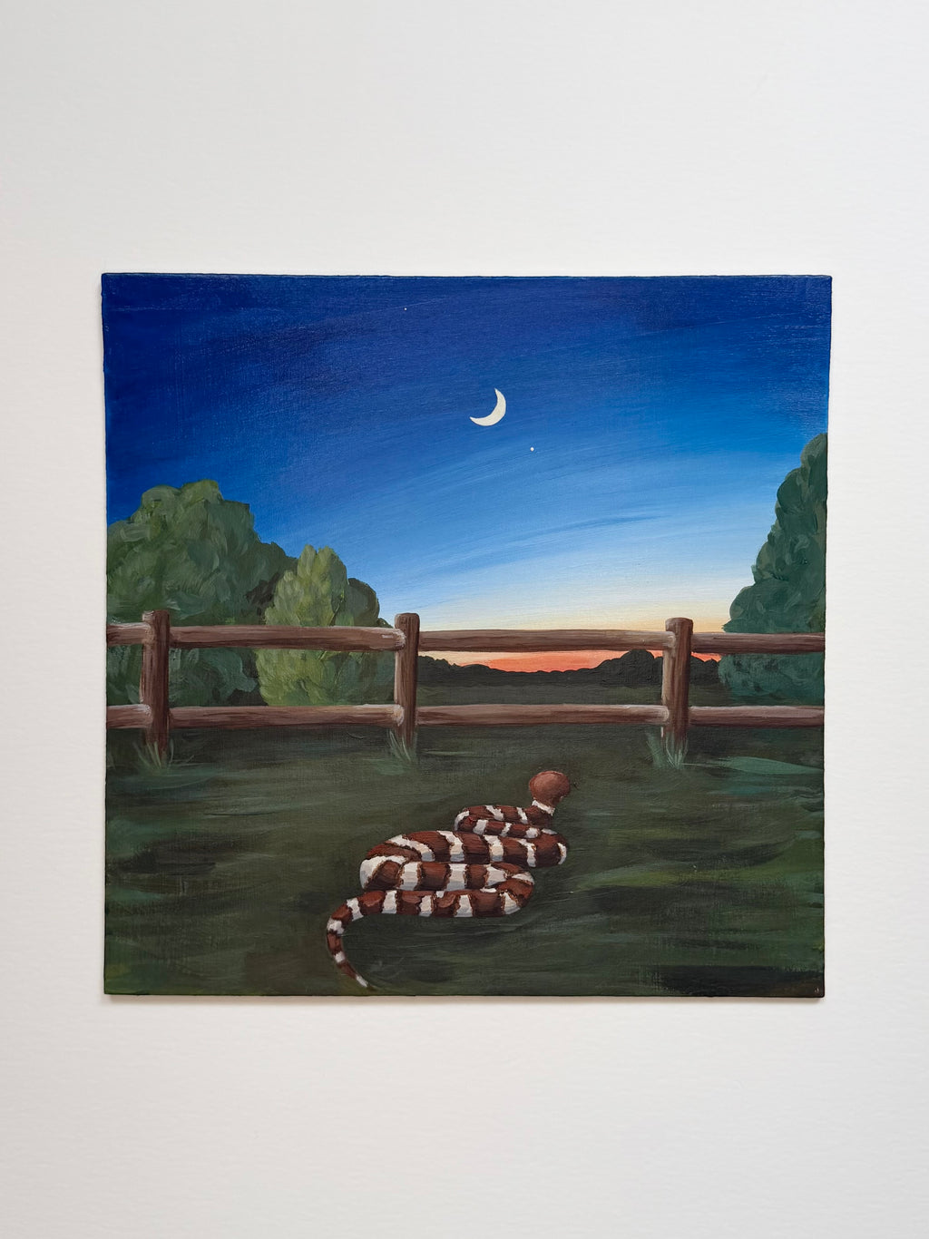 View of the original 12x12 acrylic painting "The Encounter" which shows a copperhead snake slithering into a Texas sunset at dusk